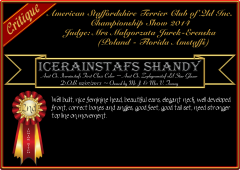 Icerainstafs Shandy.png